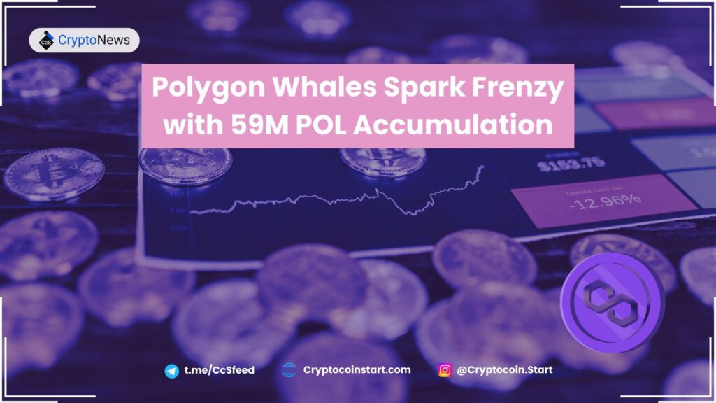 Polygon Whales Spark Frenzy with 59M POL Accumulation