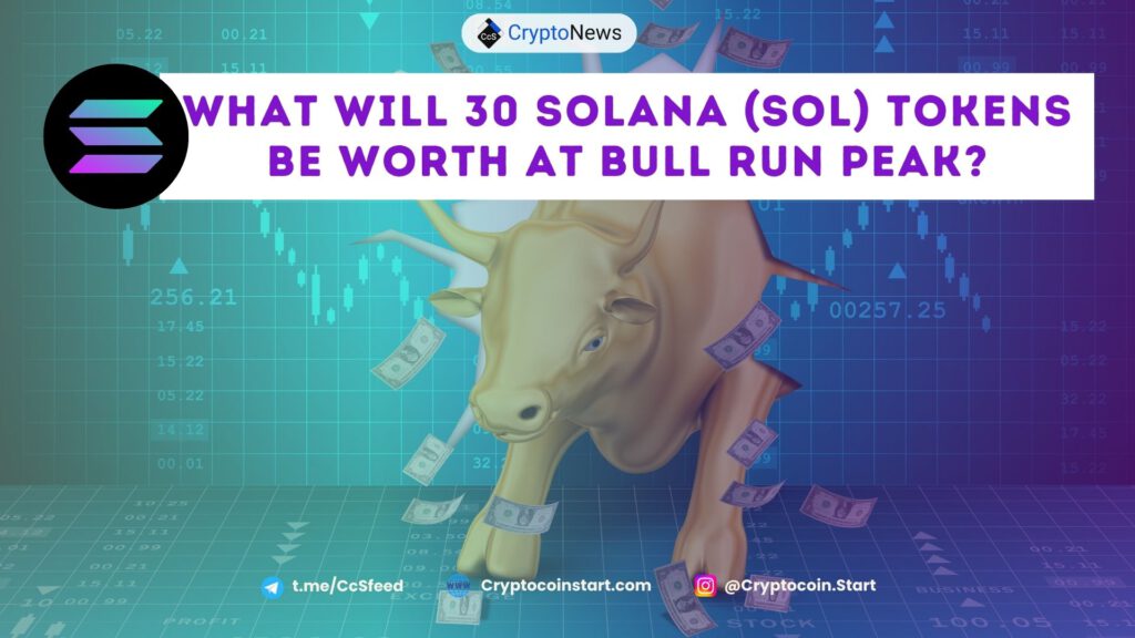 What Will 30 Solana (SOL) Tokens Be Worth at Bull Run Peak?