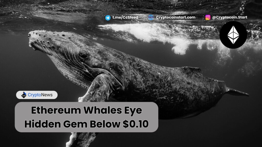 Ethereum Whales Eye Hidden Gem Below $0.10