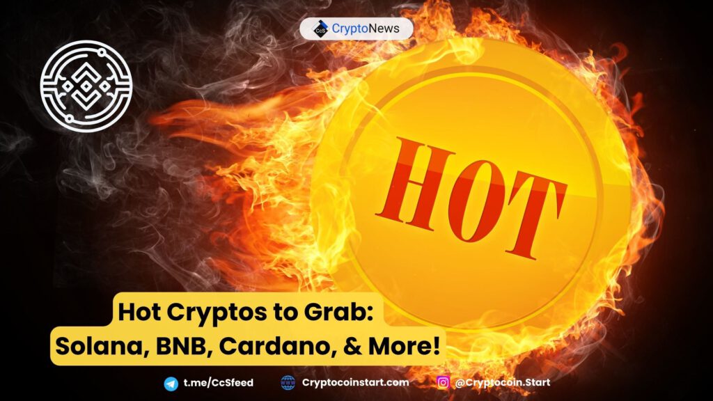 Hot Cryptos to Grab: Solana, BNB, Cardano, & More!