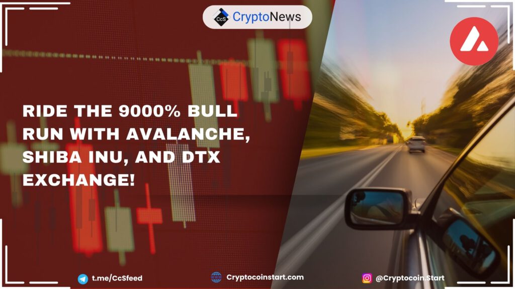 Ride the 9000% Bull Run with Avalanche, Shiba Inu, and DTX Exchange!