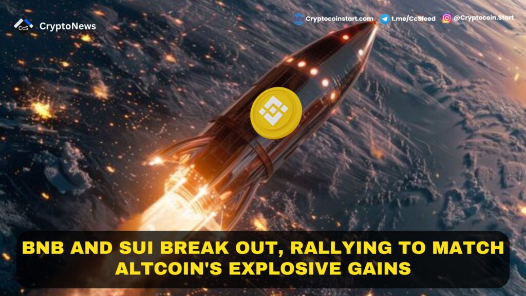 BNB and SUI Break Out, Rallying to Match Altcoin's Explosive Gains