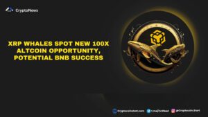 XRP Whales Spot New 100x Altcoin Opportunity, Potential BNB Success