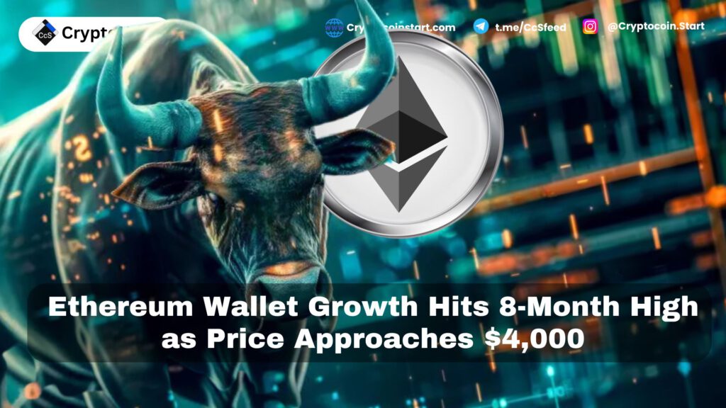 Ethereum Wallet Growth Hits 8-Month High as Price Approaches $4,000