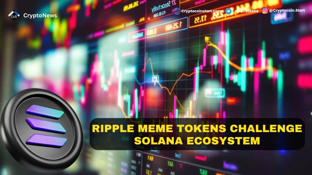 Ripple Meme Tokens Challenge Solana Ecosystem