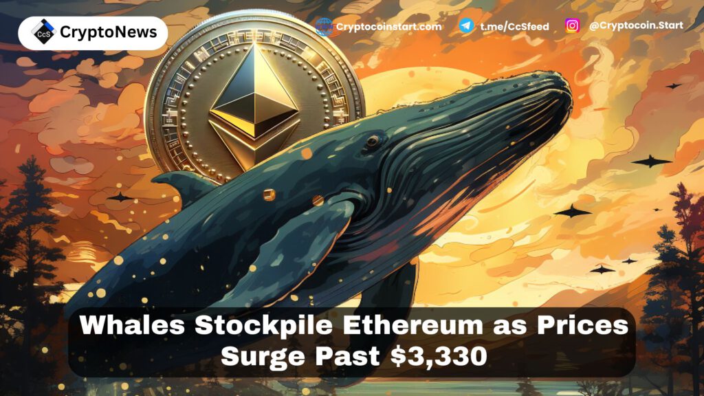 Whales Stockpile Ethereum as Prices Surge Past $3,330