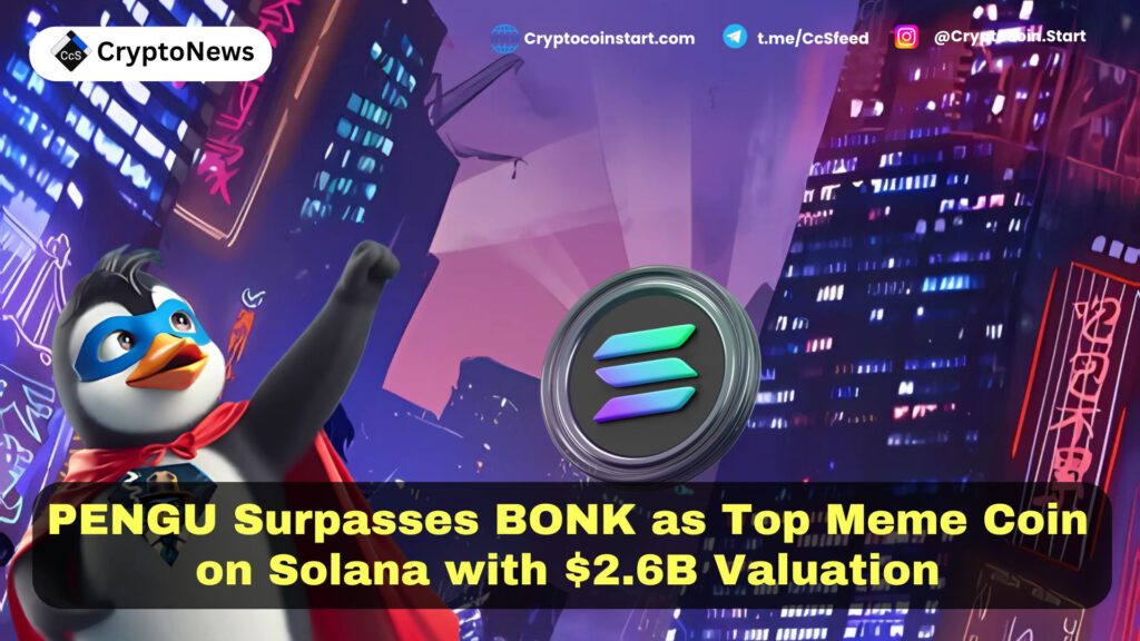 PENGU Surpasses BONK as Top Meme Coin on Solana with $2.6B Valuation