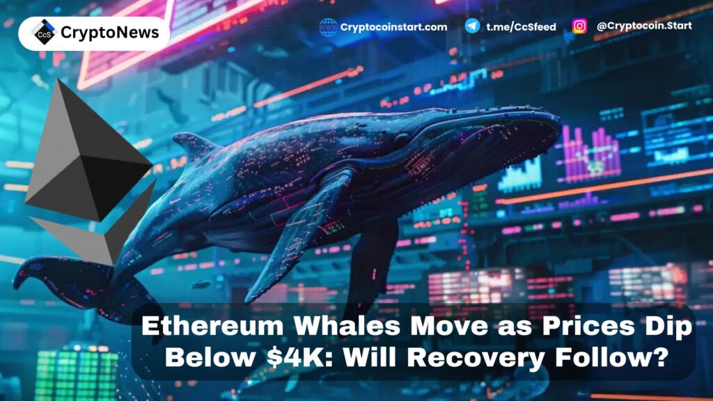 Ethereum Whales Move as Prices Dip Below $4K: Will Recovery Follow?