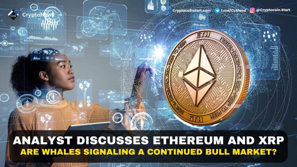 Analyst Discusses Ethereum and XRP: Are Whales Signaling a Continued Bull Market?