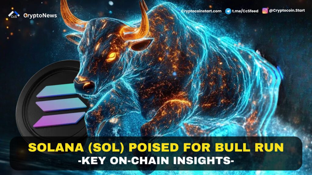 Solana (SOL) Poised for Bull Run: Key On-Chain Insights