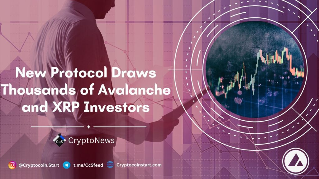 New Protocol Draws Thousands of Avalanche and XRP Investors