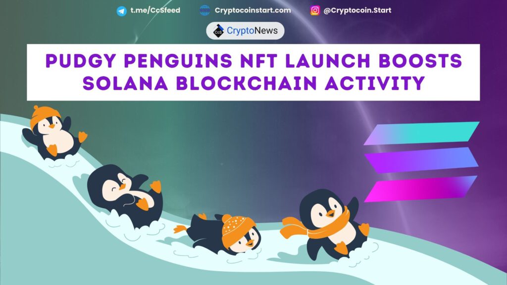 Pudgy Penguins NFT Launch Boosts Solana Blockchain Activity