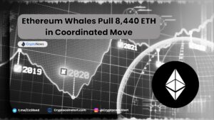 Ethereum Whales Pull 8,440 ETH in Coordinated Move