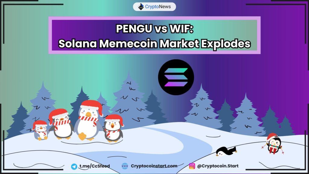 PENGU vs WIF: Solana Memecoin Market Explodes