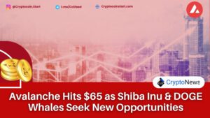 Avalanche Hits $65 as Shiba Inu & DOGE Whales Seek New Opportunities