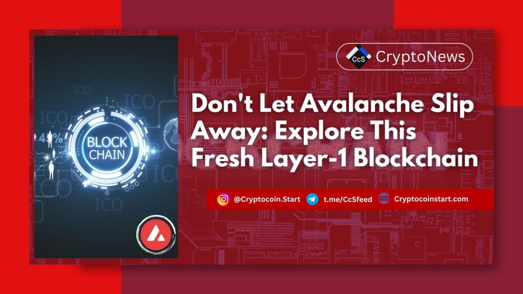 Don't Let Avalanche Slip Away: Explore This Fresh Layer-1 Blockchain