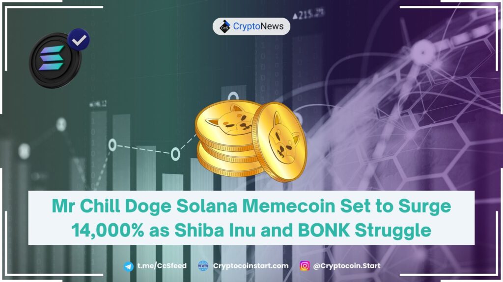 Mr Chill Doge Solana Memecoin Set to Surge 14,000% as Shiba Inu and BONK Struggle