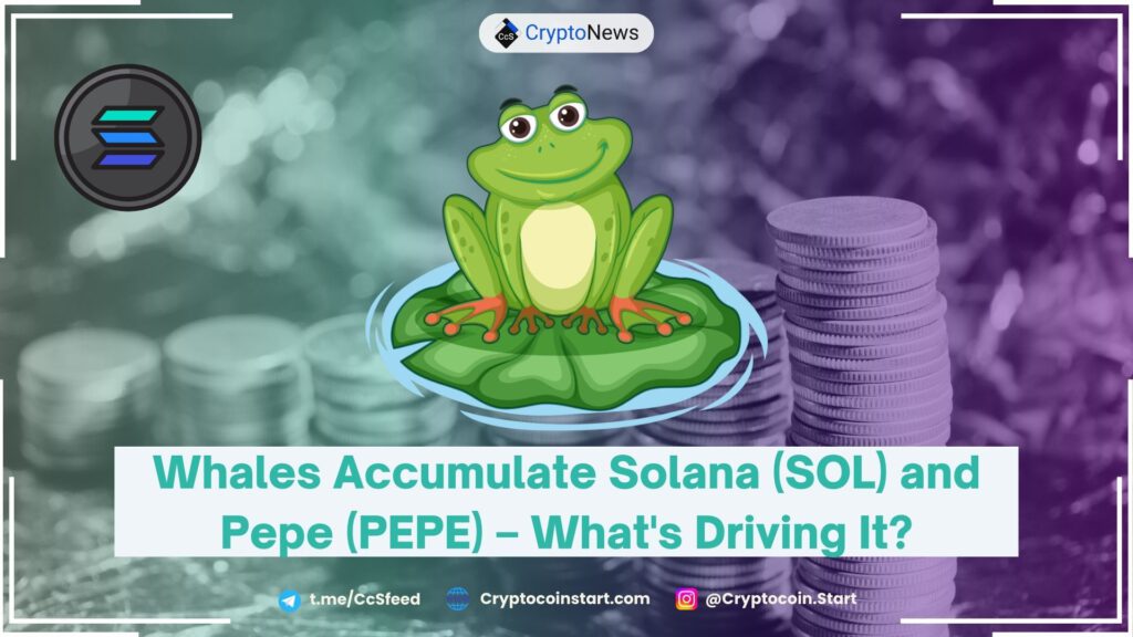 Whales Accumulate Solana (SOL) and Pepe (PEPE) – What's Driving It?