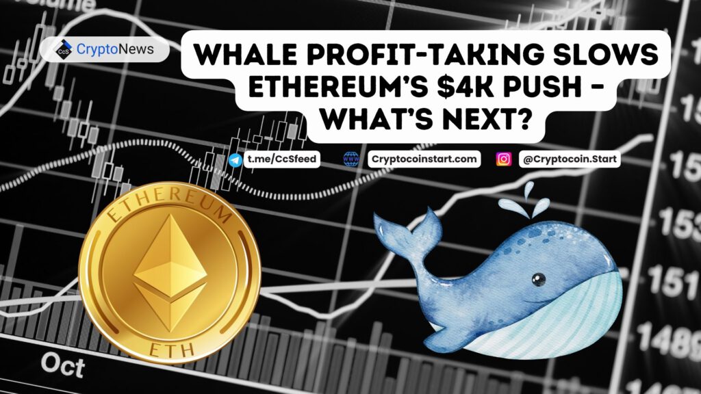 Whale Profit-Taking Slows Ethereum’s $4K Push – What’s Next?