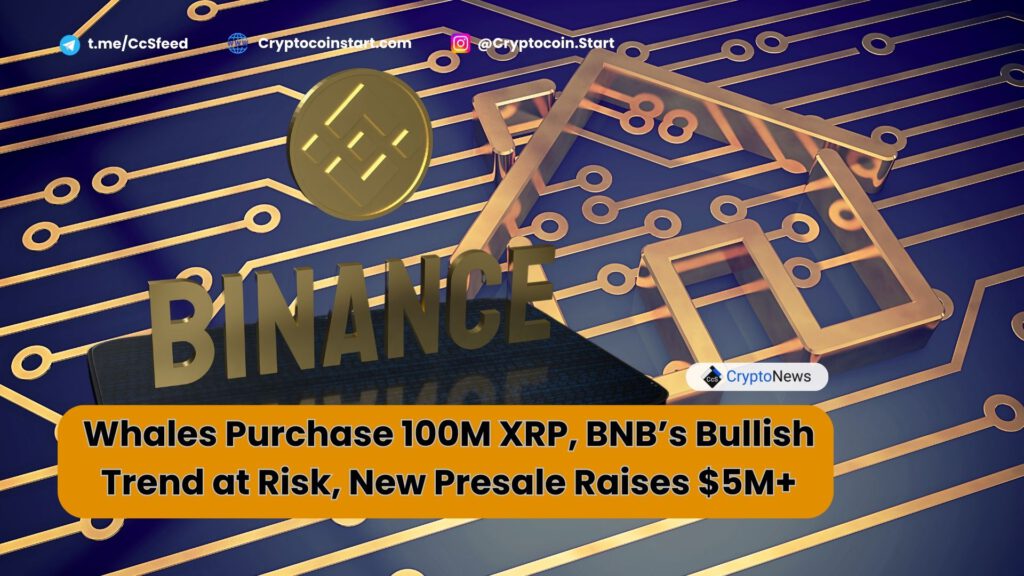 Whales Purchase 100M XRP, BNB’s Bullish Trend at Risk, New Presale Raises $5M+