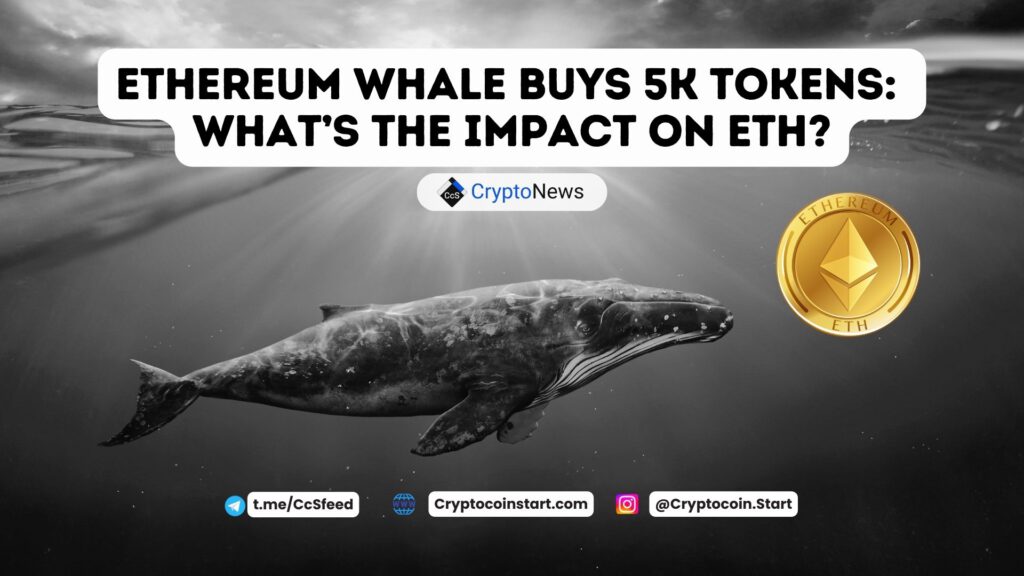 Ethereum Whale Buys 5K Tokens: What’s the Impact on ETH?