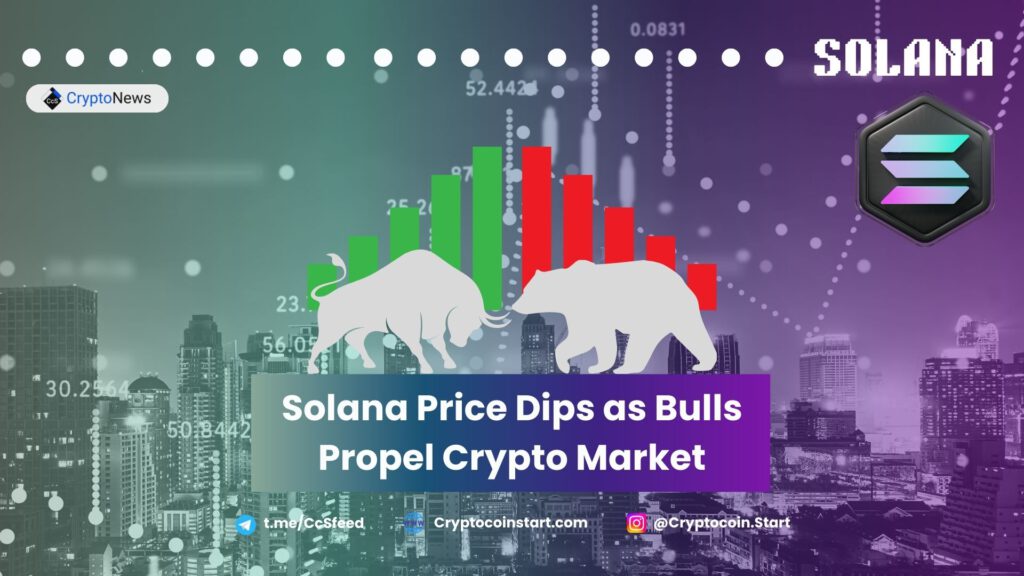 Solana Price Dips as Bulls Propel Crypto Market