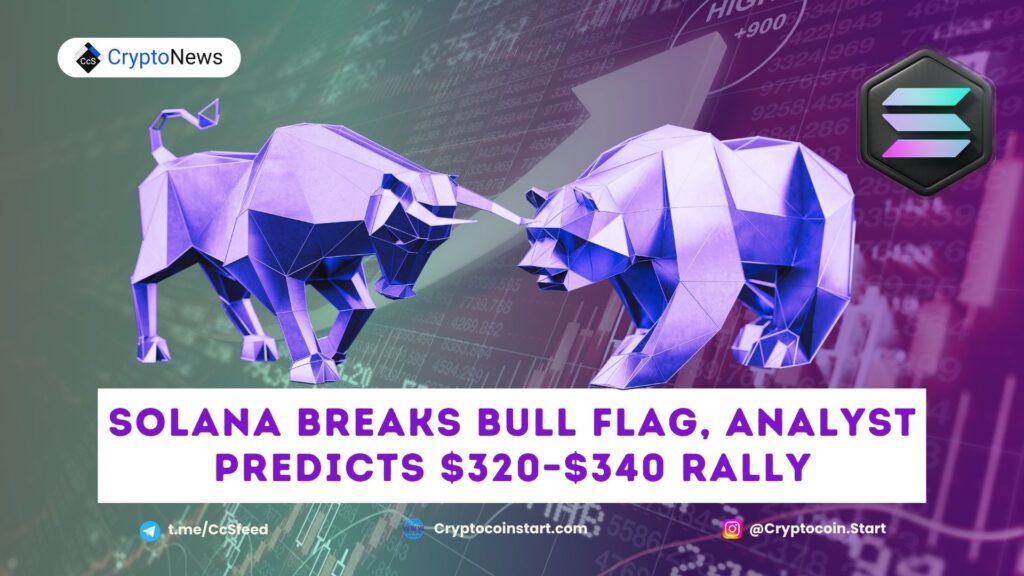 Solana Breaks Bull Flag, Analyst Predicts $320–$340 Rally