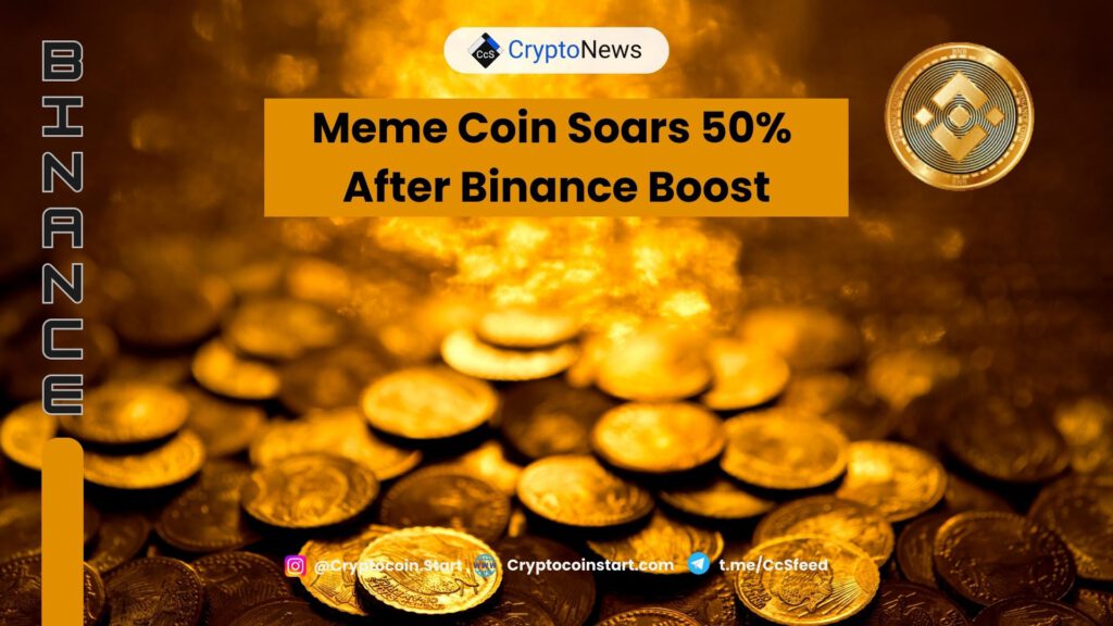 Meme Coin Soars 50% After Binance Boost