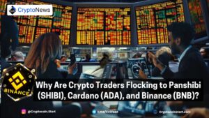 Why Are Crypto Traders Flocking to Panshibi (SHIBI), Cardano (ADA), and Binance (BNB)?
