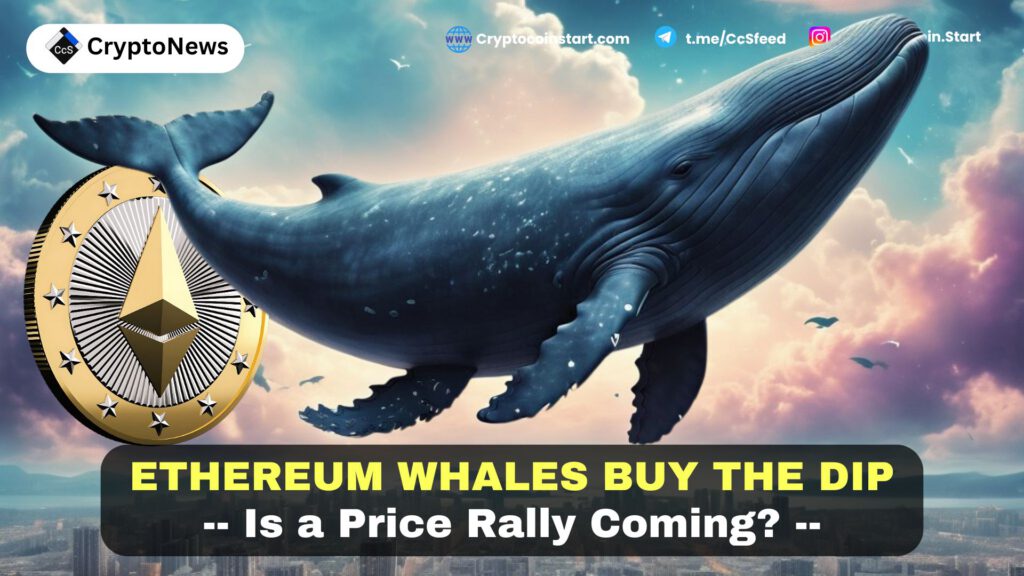 Ethereum Whales Buy the Dip: Is a Price Rally Coming?