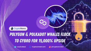 Polygon & Polkadot Whales Flock to Cybro for 15,000% Upside