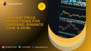 January Price Predictions for Cardano, Binance Coin, & SHIBI