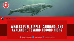 Whales Fuel Ripple, Cardano, and Avalanche Toward Record Highs