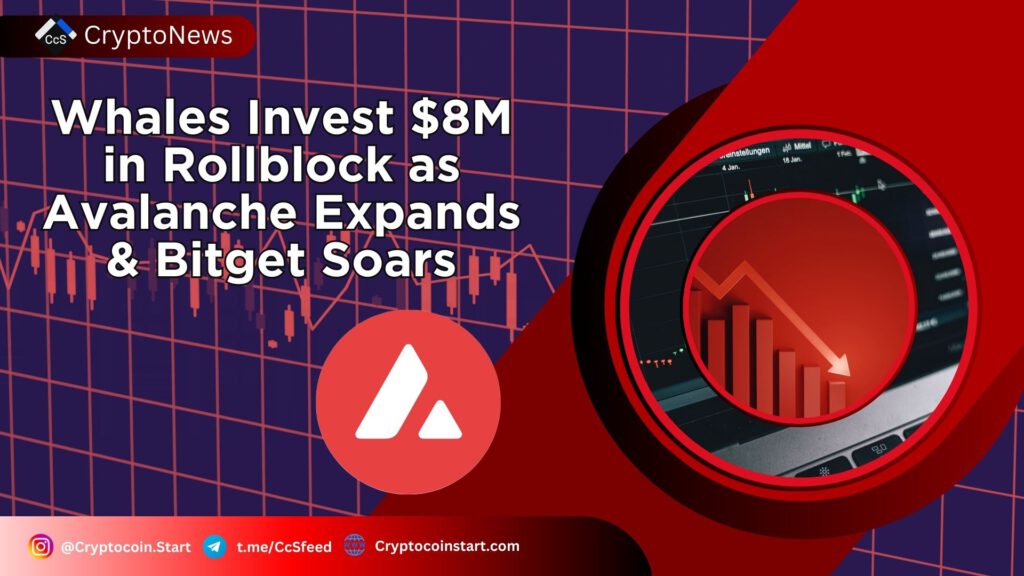 Whales Invest $8M in Rollblock as Avalanche Expands & Bitget Soars