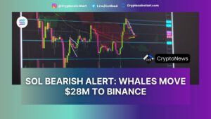 SOL Bearish Alert: Whales Move $28M to Binance