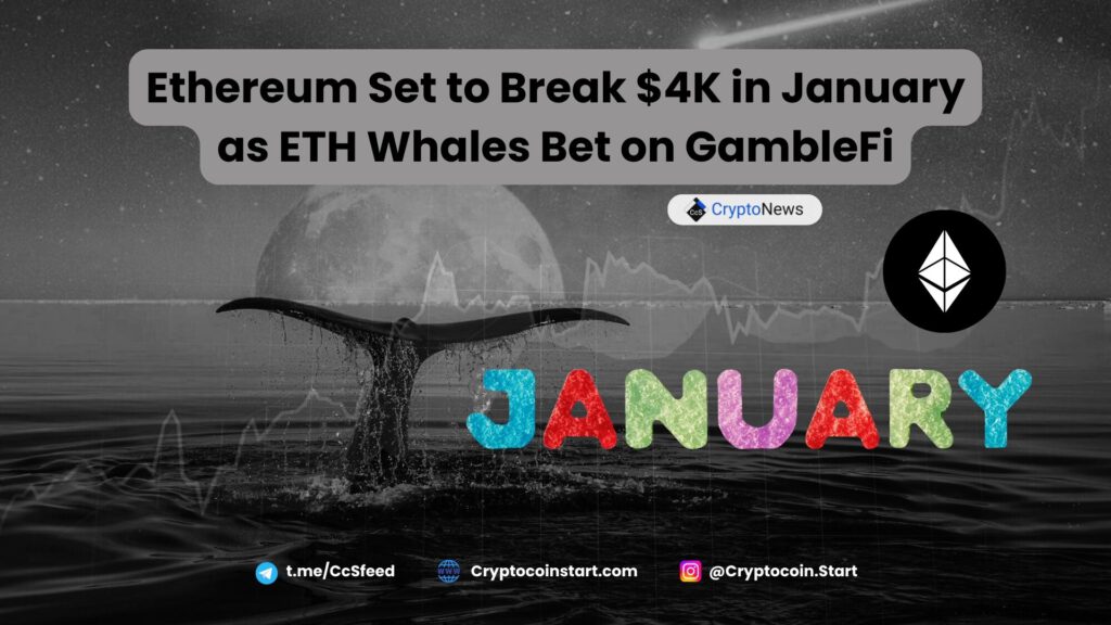 Ethereum Set to Break $4K in January as ETH Whales Bet on GambleFi