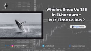 Whales Snap Up $1B in Ethereum – Is It Time to Buy?