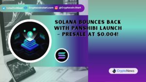 Solana Bounces Back with Panshibi Launch – Presale at $0.004!