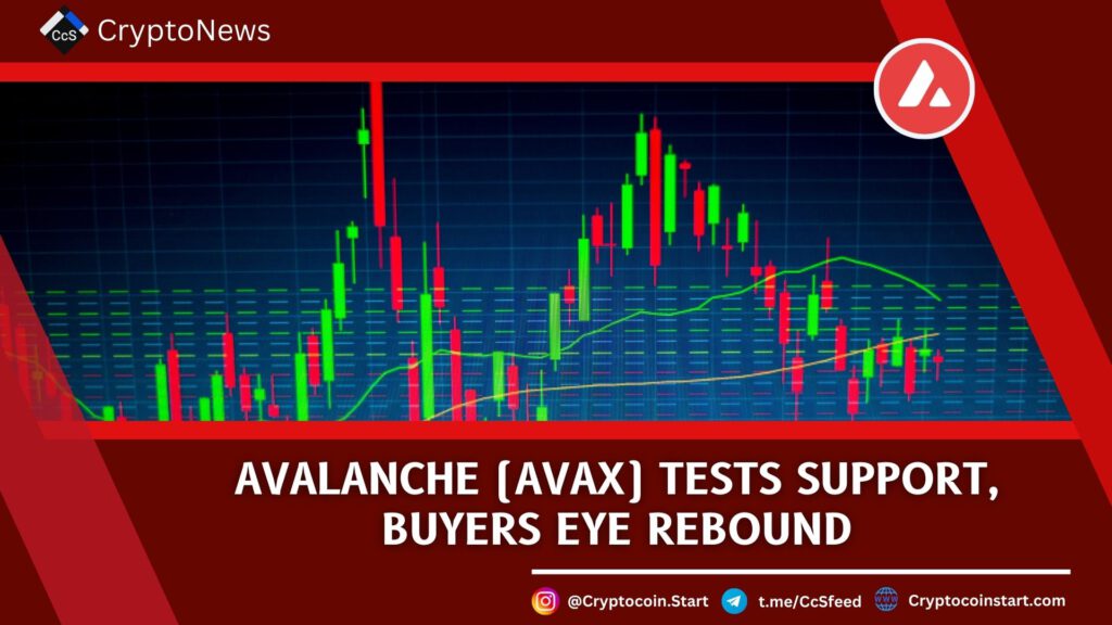 Avalanche (AVAX) Tests Support, Buyers Eye Rebound