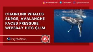 Chainlink Whales Surge, Avalanche Faces Pressure, Web3Bay Hits $1.1M