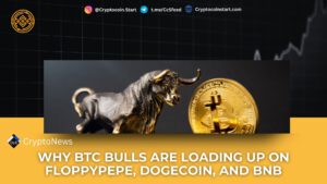 Why BTC Bulls Are Loading Up on FloppyPepe, Dogecoin, and BNB