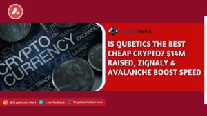 Is Qubetics the Best Cheap Crypto? $14M Raised, ZIGnaly & Avalanche Boost Speed