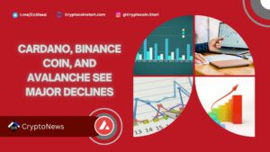 Cardano, Binance Coin, and Avalanche See Major Declines
