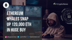 Ethereum Whales Snap Up 120,000 ETH in Huge Buy